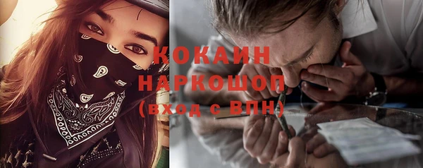твердый Краснослободск