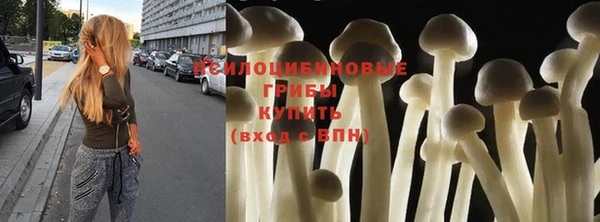 дурь Кукмор