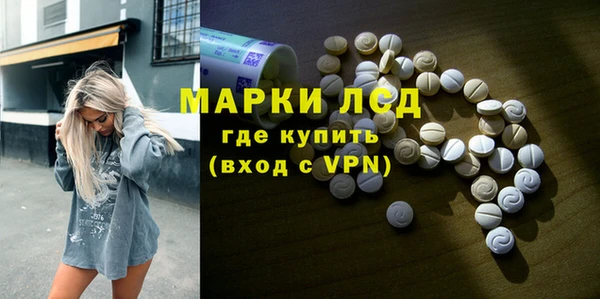 твердый Краснослободск