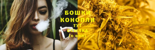 твердый Краснослободск